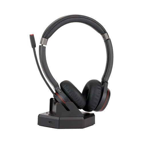 GBH w100 — View 2
